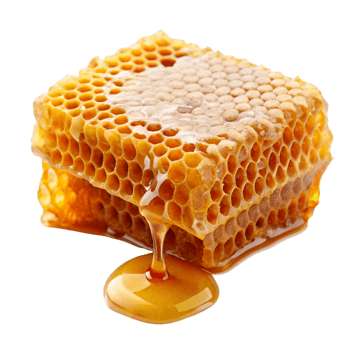 Propolis