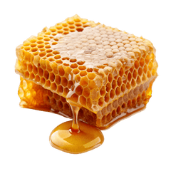 Propolis